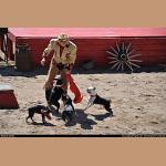 DSC_0616.JPG   220.3K