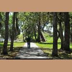 DSC_1092.JPG   285.2K