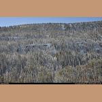 DSC_1573.JPG   323.9K