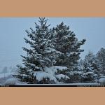 DSC_1849.JPG   190.4K