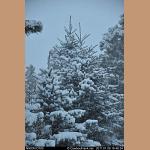 DSC_1851.JPG   136.4K
