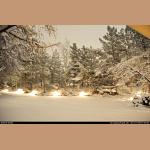 DSC_1883.JPG   214.3K