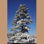 DSC_1897.JPG   154.6K