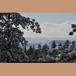 DSC_1938.JPG   173.4K