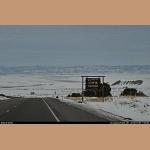 DSC_8004.JPG   137.9K