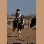 DSC_8871.JPG   126.9K