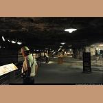 DSC_2416.jpg   154.2K