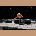 DSC_3488.jpg   177.5K