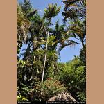 DSC_3497.jpg   209.6K