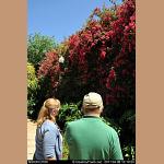 DSC_3507.jpg   156.9K
