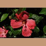 DSC_3513.jpg   154.2K