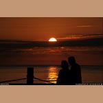 DSC_3545.jpg   115.3K