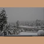 DSC_4993.jpg   185.2K
