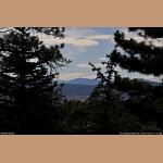 DSC_5055.jpg   185.1K