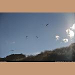 DSC_5098.jpg   110.2K