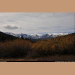 DSC_5114.jpg   168.7K