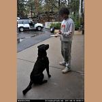 DSC_5150.jpg   135.5K