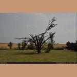 DSC_5175.jpg   169.6K