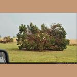 DSC_5176.jpg   214.8K