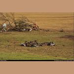 DSC_5187.jpg   275.6K