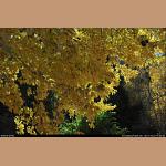 DSC_5215.jpg   292.1K