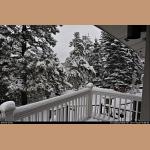 DSC_5259.jpg   260.9K