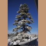 DSC_5266.jpg   149.9K