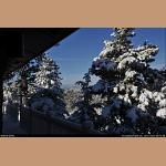 DSC_5269.jpg   207.4K