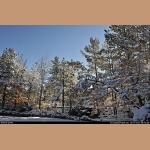 DSC_5276.jpg   282.0K