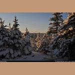 DSC_5284.jpg   198.2K