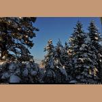 DSC_5287.jpg   225.0K