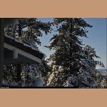DSC_5296.jpg   233.1K