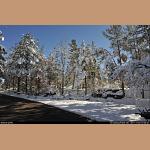 DSC_5298.jpg   266.6K
