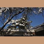 DSC_5305.jpg   220.5K