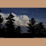 DSC_7145.jpg   138.0K