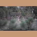DSC_9408.jpg   143.5K