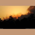 DSC_1551.jpg   100.6K