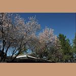 DSC_1572.jpg   288.2K