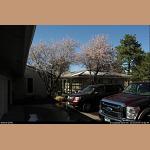 DSC_1573.jpg   213.7K