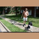 DSC_1705.jpg   278.2K