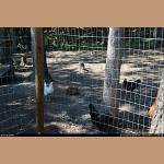 DSC_1716.jpg   281.6K