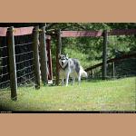 DSC_1732.jpg   227.8K
