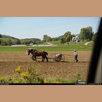 DSC_1897.jpg   200.5K
