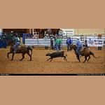 DSC_2528.jpg   175.5K
