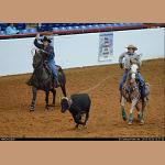DSC_2544.jpg   197.7K
