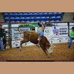 DSC_2713.jpg   207.2K