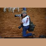 DSC_2847.jpg   184.5K