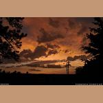 DSC_3435.jpg   145.5K