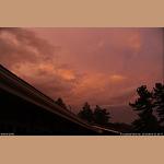DSC_3441.jpg   109.6K