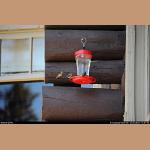 DSC_3719.jpg   145.7K